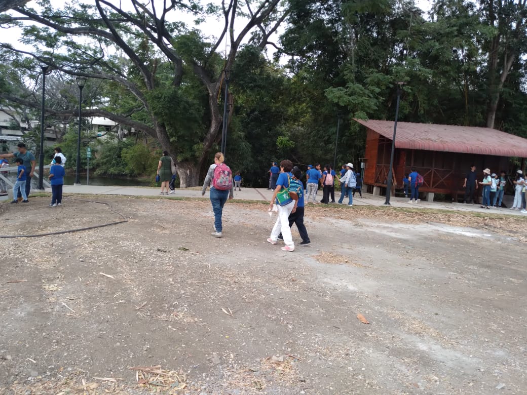 Imagen 20